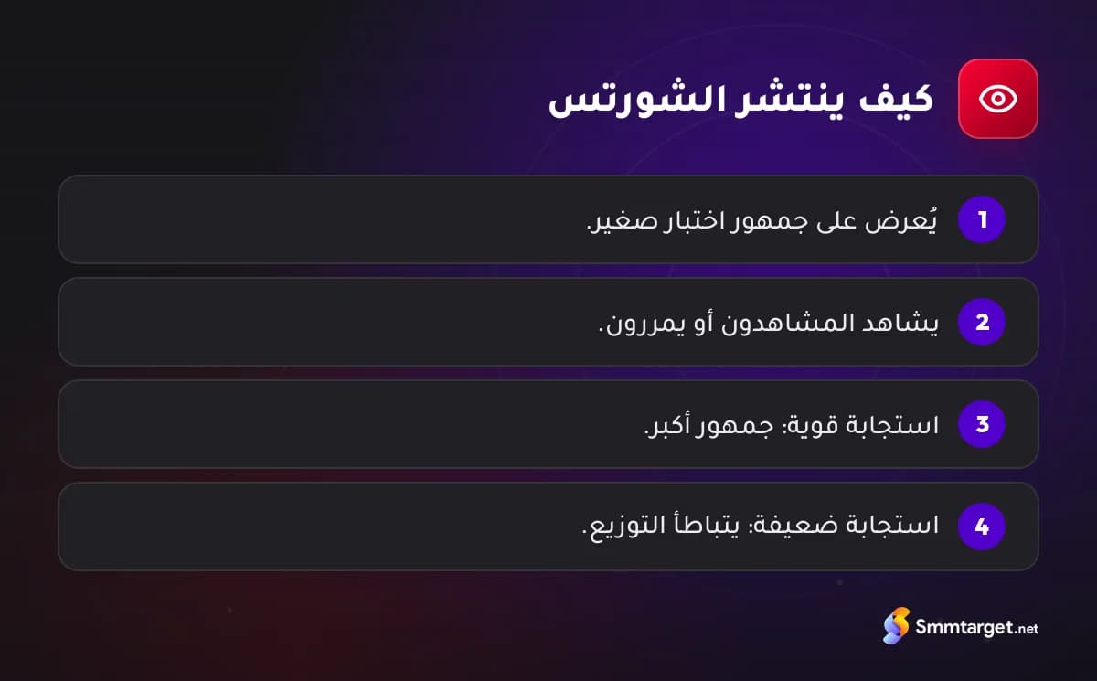 رسم توضيحي: أربع خطوات توضح كيف توزع خلاصة الشورتس الفيديو