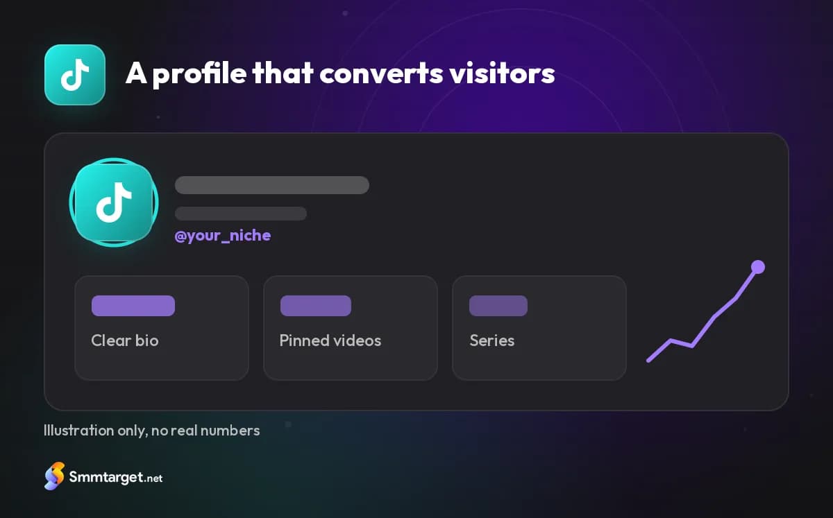 Illustrated TikTok profile card with a clear bio, pinned videos and a series